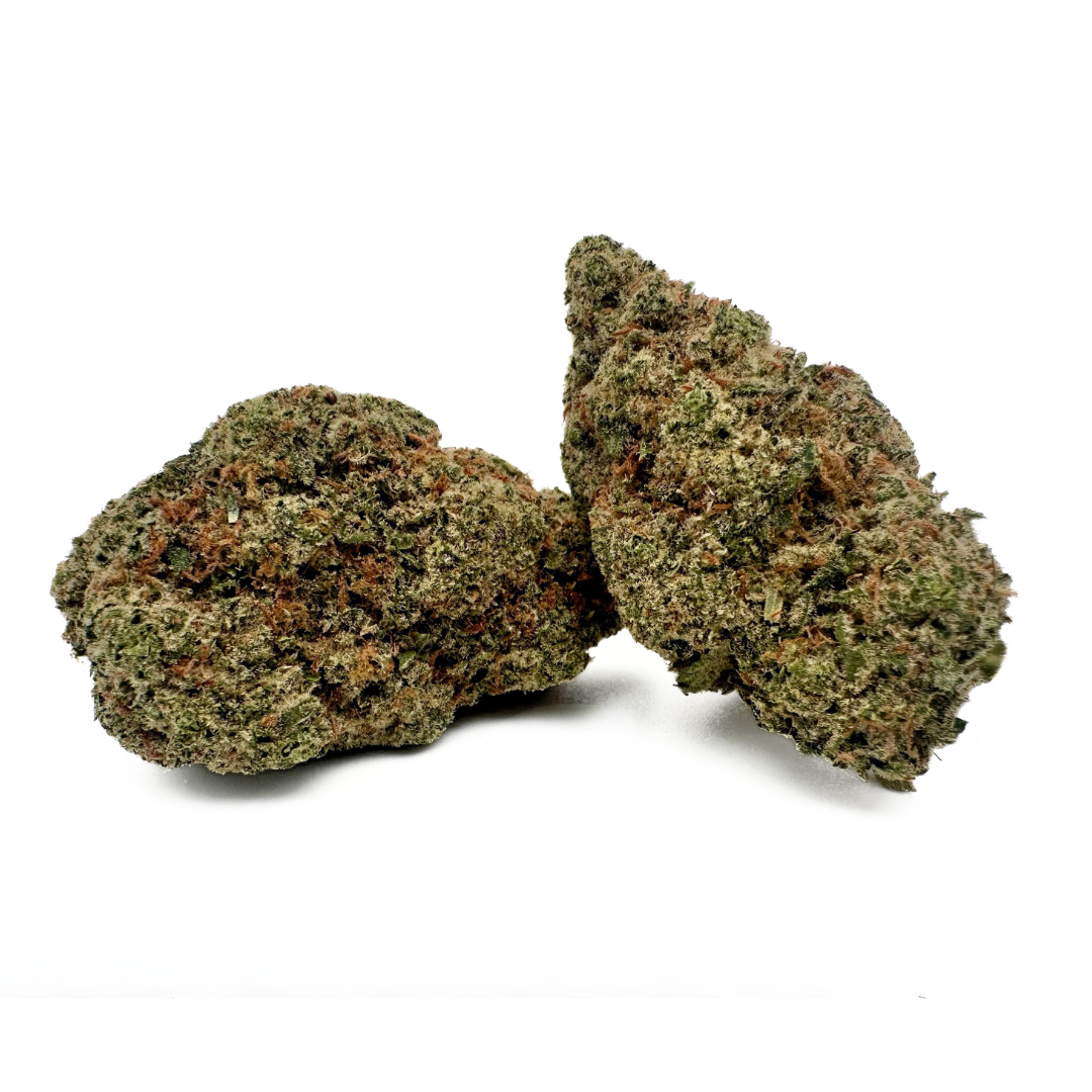 Lemon Tree indica cannabis flower at Lettuce
